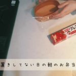 【1人暮らし】リアルな平日のお弁当作り〜