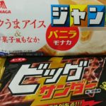 【2019年No.１バズりスイーツレシピ🍦】これは旨い❗バニラモナカとビッグサンダーがフュージョン❗お値段150円カロリー450kcalの爆ウマレシピ❗
