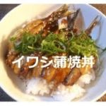 【イワシ レシピ】イワシの蒲焼丼!3尾使っても100円ぐらいで出来たよ^^美味しい~ww