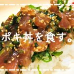 〔料理レシピ〕ハワイで食べた思い出のポキ丼づくり(Hawaiian Poke bowl)