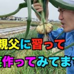 親父に野菜の作り方を教えてもらってます！！
