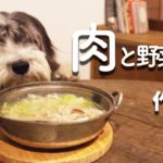 犬手作りご飯レシピ|お肉と野菜鍋の作り方を解説【もふ飯】