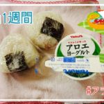 【毎日のお弁当】アラフィフ独身女が不慣れなお弁当作りを頑張るって話