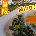 【節約レシピ】止まらない・・無限ニラサラダ