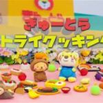 野菜たっぷりカラフルパスタ