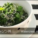 菜食レシピ クレソン丼