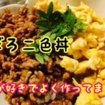 そぼろ二色丼作り方簡単お弁当