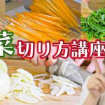 【料理の基本】野菜の切り方や皮のむき方!基本の玉ねぎ〜薬味までたっぷり紹介します!