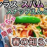 【シラスとスパムとスナップえんどうで春の知らせ丼!】自粛期間中レシピに困るお父さん、お母さん達に届けるレシピ!