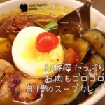 ファン多し!!「鶏肉と野菜の北海道スープカレー」
