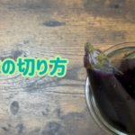 野菜の切り方 【なす】料理レシピに合わせて