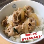 豚丼を作ってみる！簡単でうまい！ショウガを沢山入れれば大人の味！