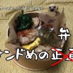 暮らしのvlog【みっちーのゆっくりご飯】その89/お弁当×3