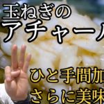 新玉ねぎのアチャール【スパイスカレーの副菜】＃33