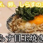 【しらす目玉焼き丼】混ぜてかきこめ【レシピ/ASMR】