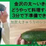 【JA野菜】金沢・加賀太きゅうり！食べ方。