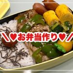 【お弁当】お弁当作り/bento/肉野菜生姜炒め《旦那弁当》