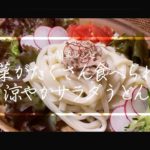 【料理動画】涼やかサラダうどん！野菜がたくさん食べられる！ツナ缶！簡単レシピ！【iPhone撮影】Japanese food recipe Eng sub