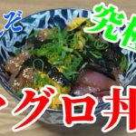 【飯テロ】究極のマグロ丼の作り方！ウニ割くん tuna bowl