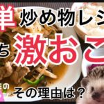 簡単栄養たっぷり肉野菜炒め【ハリネズミクッキング簡単レシピ】おもち激おこ！その理由は？