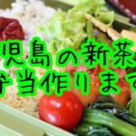 鹿児島の新茶で弁当作り　#お弁当シリーズ