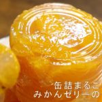 【缶詰丸ごとみかんゼリーの作り方】家事ヤロウで話題のレシピ。簡単インスタ映えスイーツ