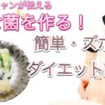【簡単】脂肪燃焼・ダイエットずぼら副菜レシピ【痩せ菌作り置き】
