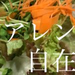【野菜を食べよう‼︎】我が家のサラダベースの作り方【アレンジも簡単】