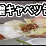 【野菜たっぷり味噌キャベツ包み】料理家を目指すサラリーマンの今日の献立🍳【簡単レシピと作り方】