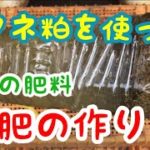 ナタネ粕『野菜の肥料の作り方』家庭菜園やベランダ菜園に便利