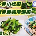 【やみつき小松菜の塩漬け】 便利な万能保存レシピ！ 作り置き，常備菜，漬物，豚小松菜炒め，調味料，ごはんのお供，炒飯やカブ弁等