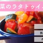 【常備菜】野菜たっぷり作り置きレシピ！彩野菜のラタトゥイユ【一人暮らし】