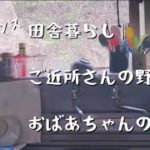 #田舎暮らし#ご近所さんの野菜#おばあちゃんのレシピ#ネコのいる暮らし