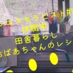 #休職中#田舎暮らし#おすそ分け野菜#おばあちゃんのレシピ#ネコ#