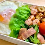 【旦那弁当】お弁当作ります／主婦のお弁当作り