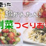 【作り置き副菜】お酢を使った副菜4品!//節約:1食50円以下/簡単レシピ/夏レシピ/自炊見習い
