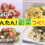 【作り置き副菜】お酢を使った副菜4品!【夏にぴったり】1食50円以下・簡単節約レシピ