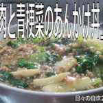 自炊レシピ　「豚ひき肉と青梗菜のあんかけ丼」作り方　【2020年5月19日の夕食　Japanese daily meals for living alone】