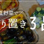 【作り置きレシピ】夏野菜で簡単3品!ラタトゥイユ|焼き浸し|きゅうりポン酢漬け