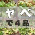 【作り置き】キャベツで作る簡単レシピ4品/お弁当にも/常備菜