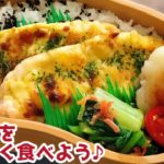 【お弁当作り・ささみをカレーチーズマヨ味で食べよう♪】ENG sub lunch bento box 芋餅　小松菜レシピ