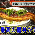 高級店も超えた?生涯最高の鰻丼の作り方 天然食材ハンター谷田圭太の野人塾 File3《天然ウナギ 後編》