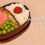 【ジブリ飯】となりのトトロ！さつきちゃんのお弁当を作ってみた | 再現レシピ | Vlog 24