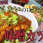 キモオタがお届けする簡単!味噌カツ丼の作り方(概要欄見てね)