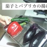 【疲れ解消にも】簡単!野菜たっぷりレシピ5品