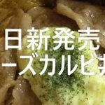 【すき家】【牛丼】【カルビ】【チーズ】【新発売】【作ってみた】【レシピ】【料理】【はいじぃ】に追いつきたい