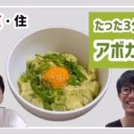 【男飯】簡単‼アボカド丼レシピをリモート解説【アボカド/レシピ/味付け】