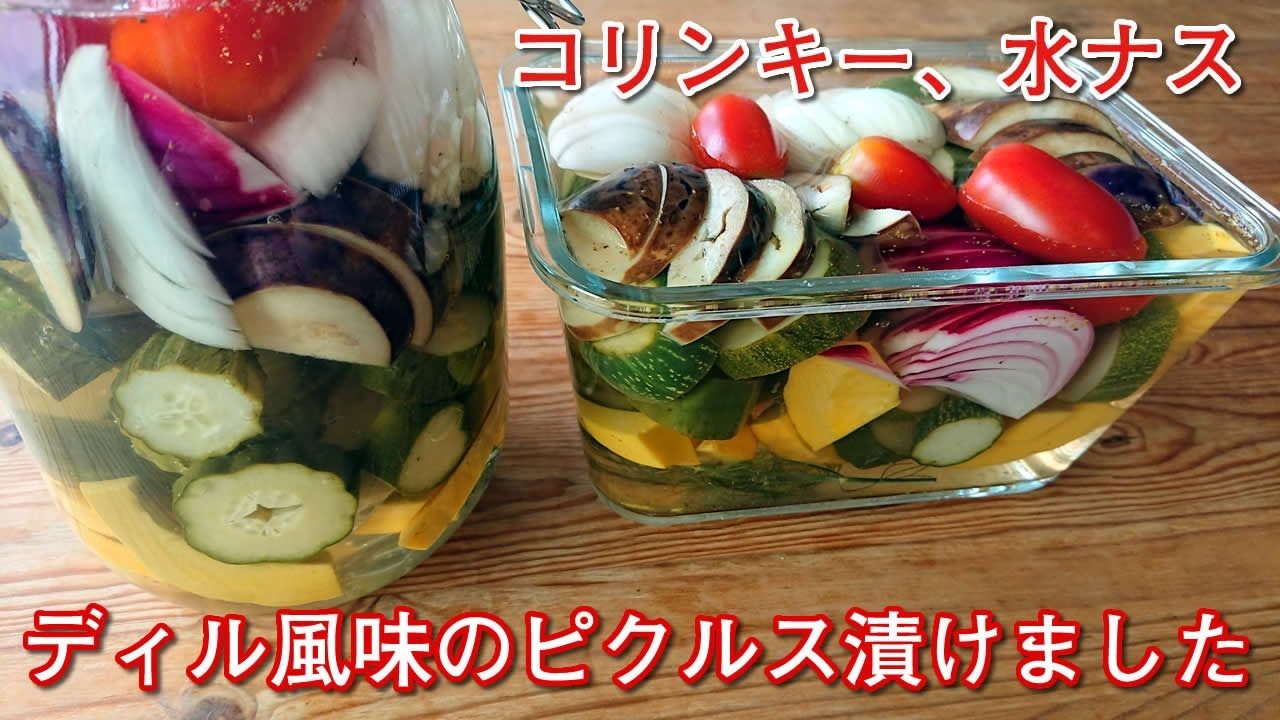 畑で取れた野菜をピクルスにしました ピクルス 作り方 レシピ コリンキー レシピ動画