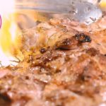 炭火で一気に焼き上げる！プロが作る極上の焼鳥親子丼の作り方【渋谷・つくね侍さかのうえ】