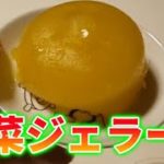 ダイエットに!?野菜ジェラートの作り方！